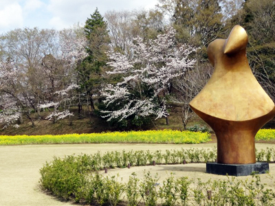 千葉県内春の観光なら、千葉県佐倉市のレンタカー日帰り旅行体験記